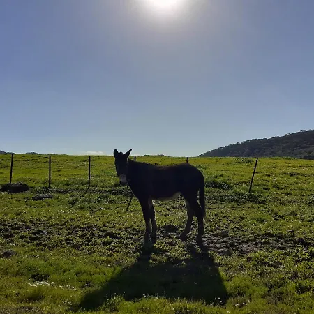 Apartmán Balcones De *