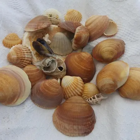 Balcones De * Cádiz