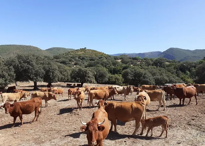 Balcones De 公寓 加的斯