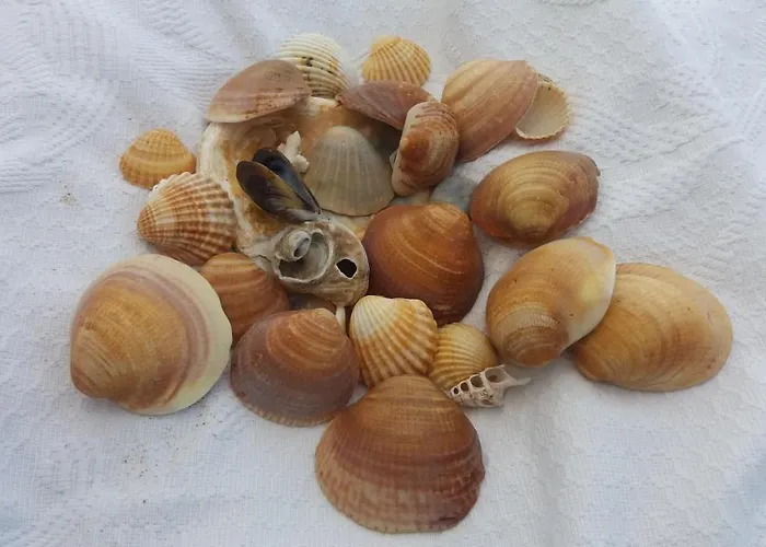 Balcones De * 加的斯