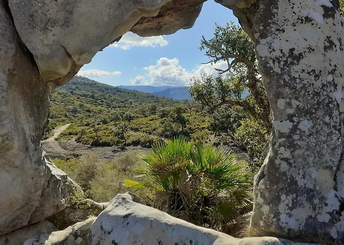 Apartment Balcones De