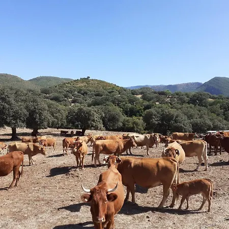 Balcones De Apartamento Cádis