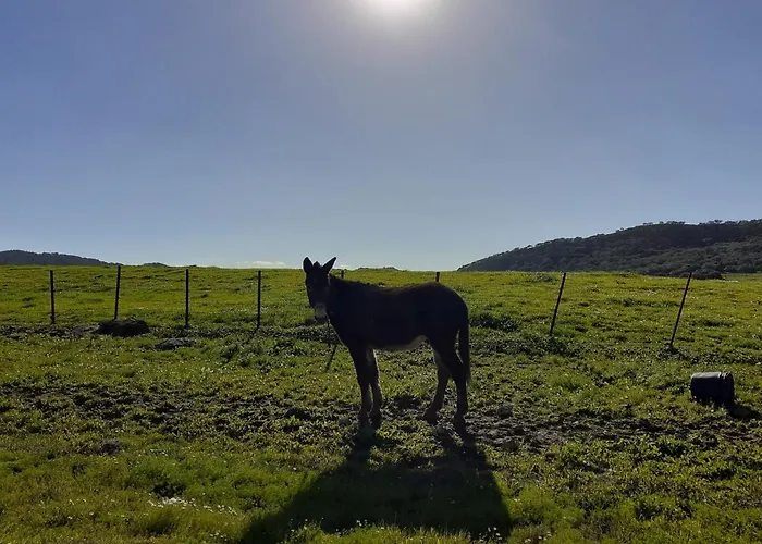 Apartamento Balcones De *
